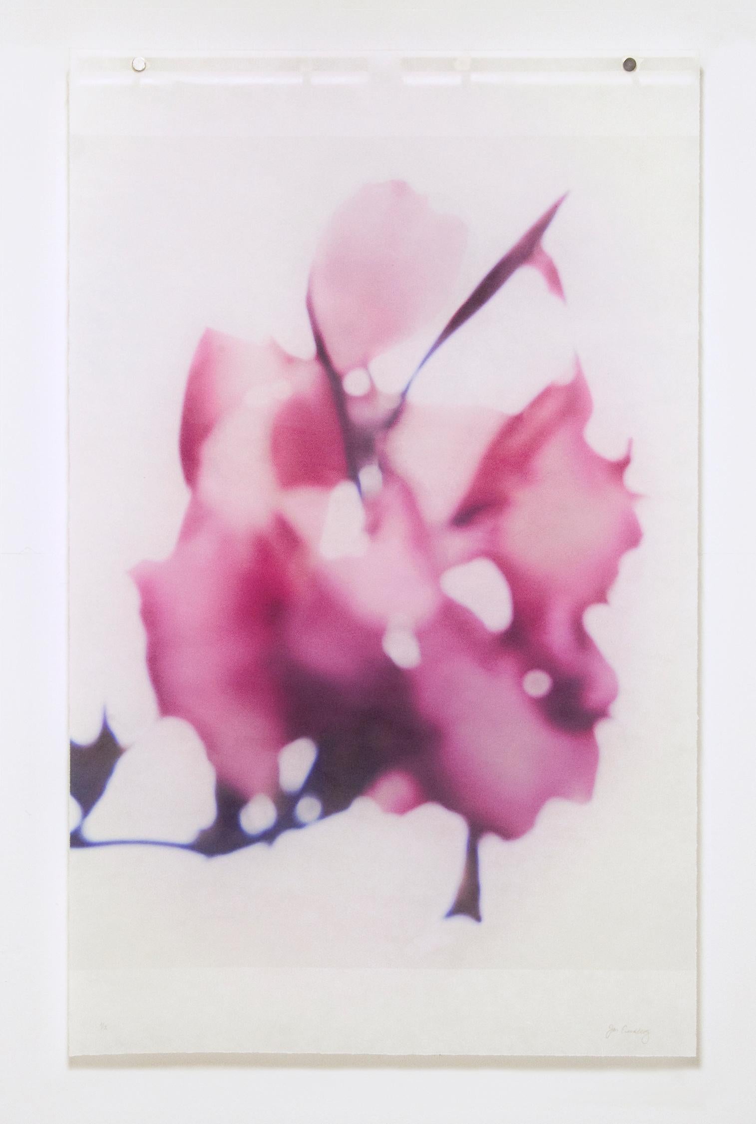 Canna n° 5 (Photographie abstraite de nature morte de fleur de nénuphar magenta sur blanc) - Beige Still-Life Photograph par Jeri Eisenberg