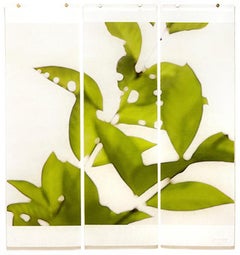 Canopy (Lake Lotus): Abstracted Still Life Photograph of Green Leaves on White