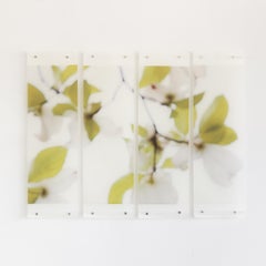 DOGWOOD (BIANCO), NO. 10