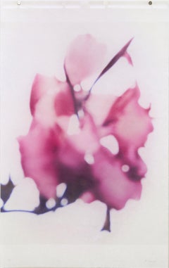 Pigment Abstract Photography