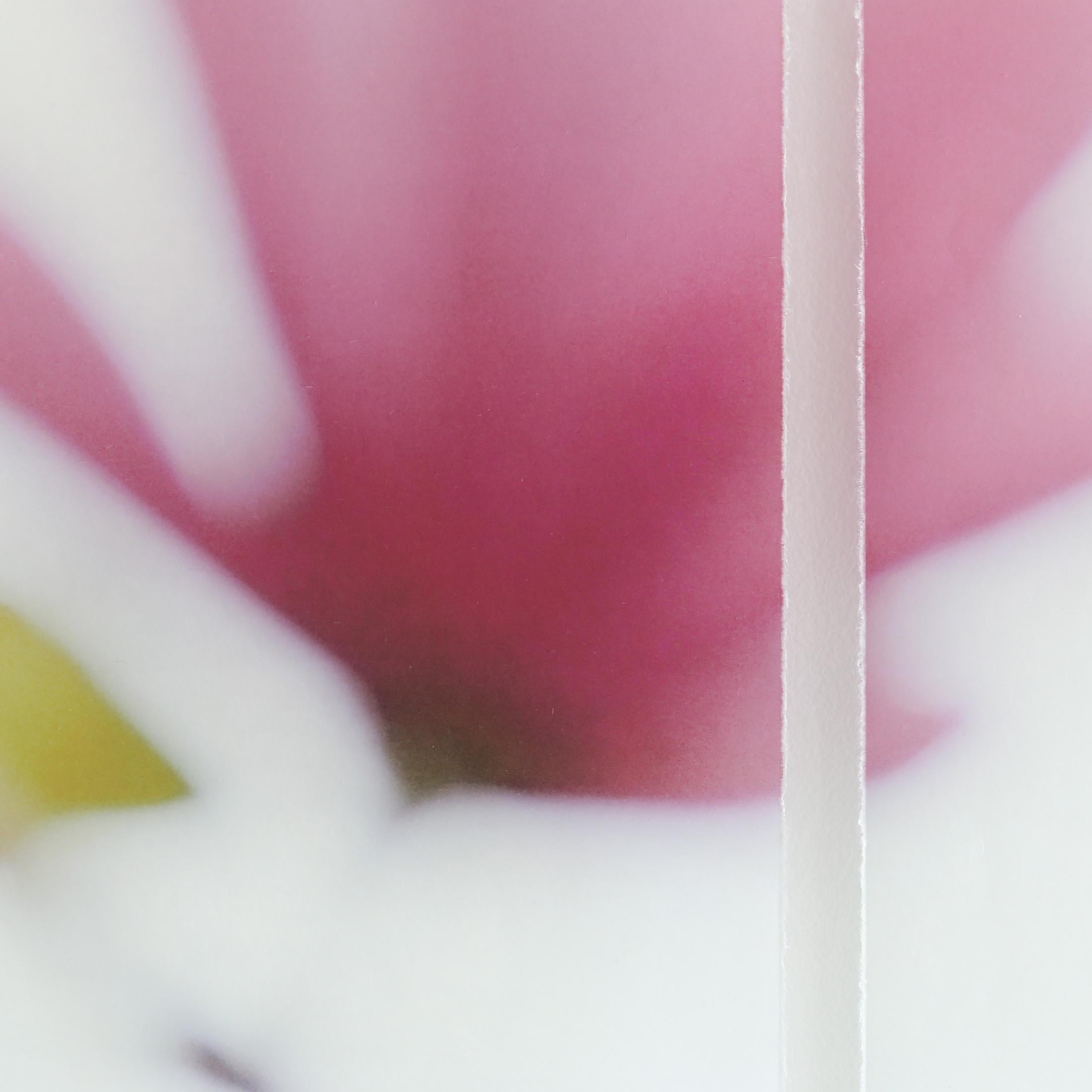 Magnolia n° 10 - Beige Color Photograph par Jeri Eisenberg