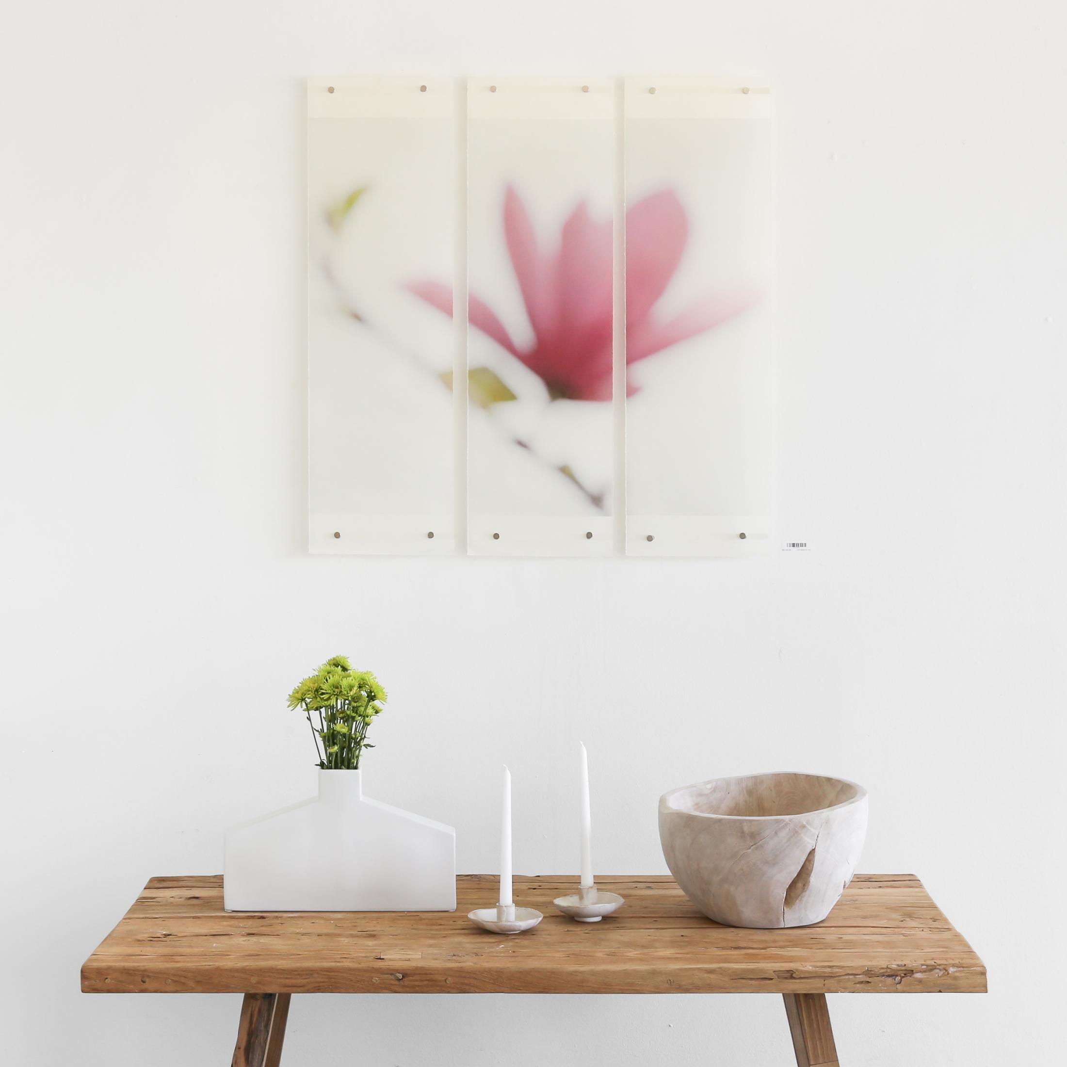 Magnolia, No. 10, de l'artiste Jeri Eisenberg est un triptyque contemporain rose tendre et vert, réalisé à l'encre pigmentaire d'archivage sur du kozo japonais avec un médium encaustique, qui mesure 36 x 34 et dont le prix est de 3 150 $.

Magnolia,