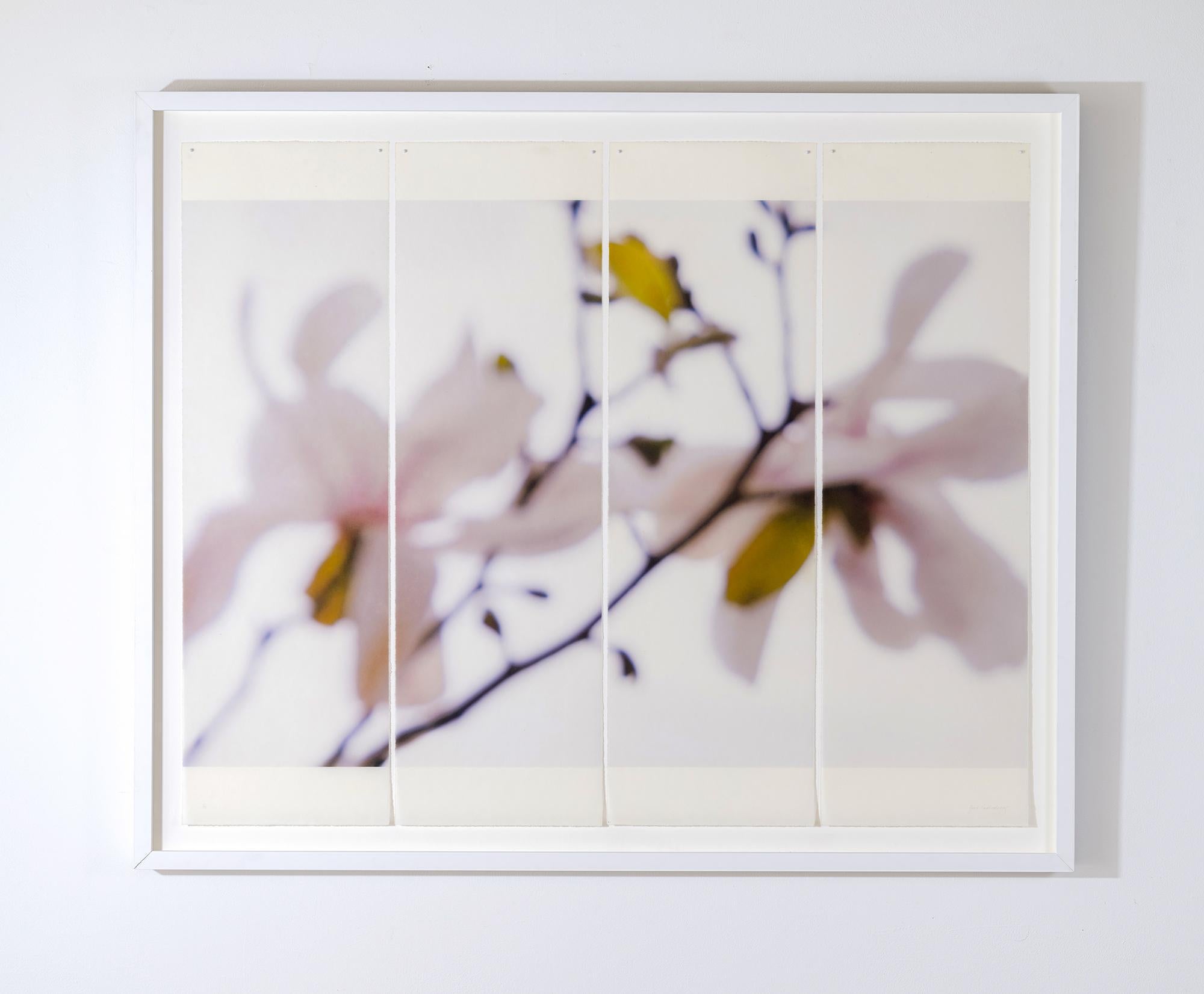 Star Magnolia (Delicate Floral Photograph on Japanese Rice Paper, Framed) - Gray Still-Life Photograph by Jeri Eisenberg