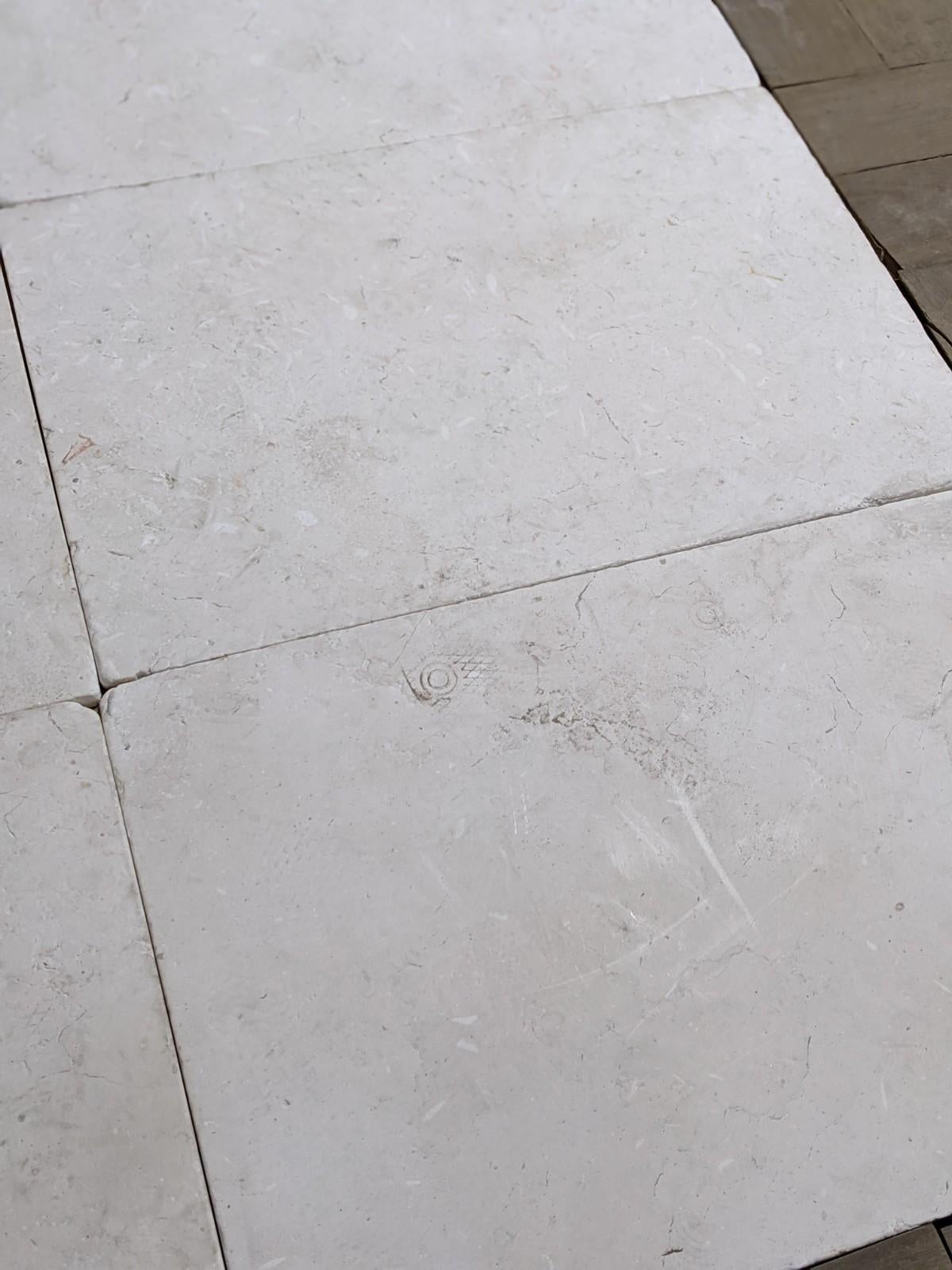 Cepillo Jerico Europeo en venta