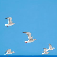 Seagulls - landscape painting