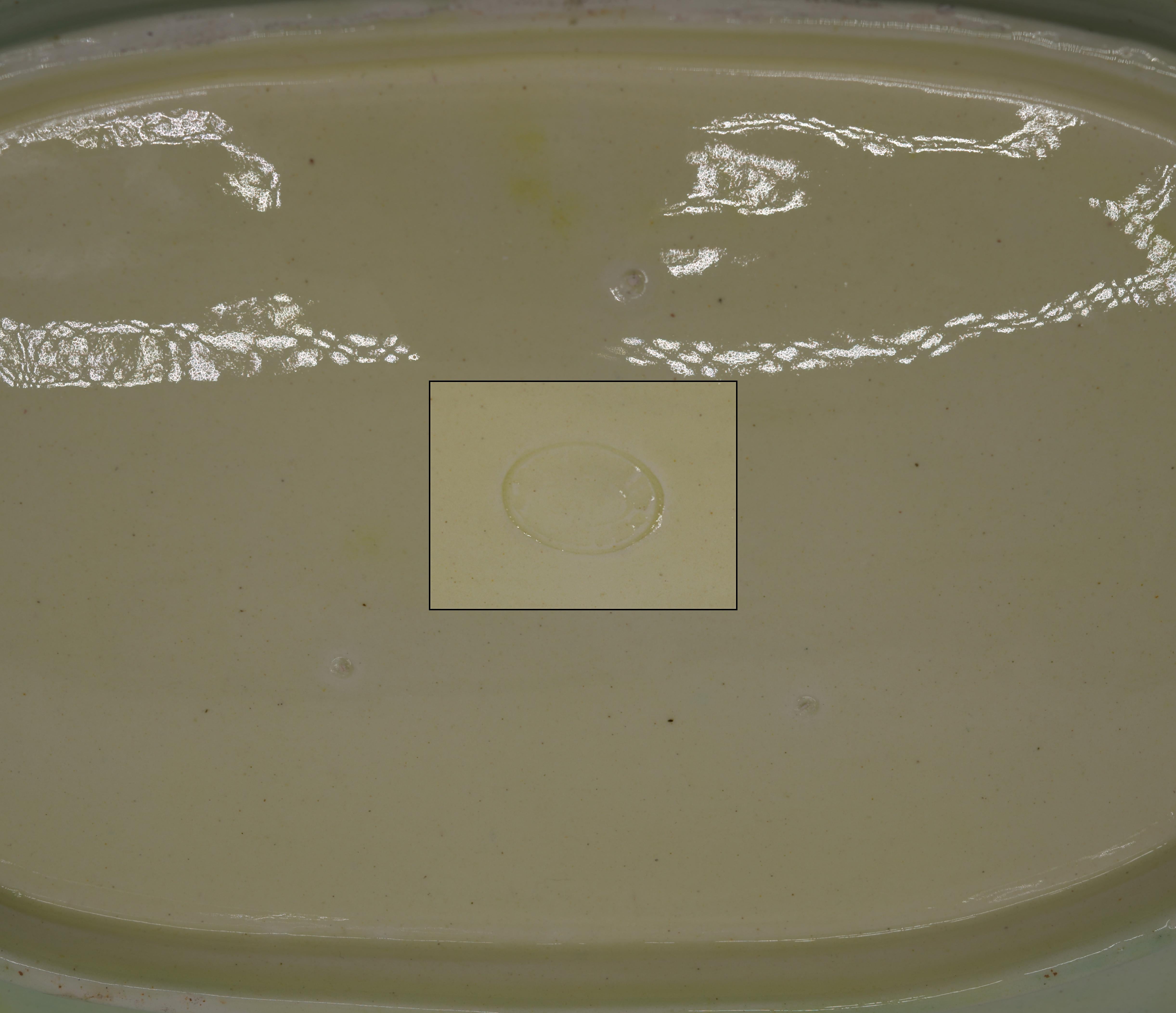Jerome Massier Fils, Majolica Platter, Vallauris, End 19th C. For Sale 2