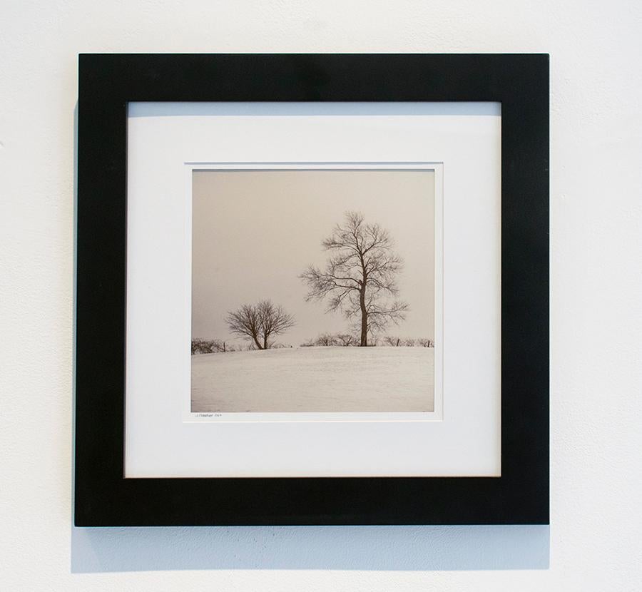 Champs, hiver (Nature morte rustique d'arbres dans un champ enneigé) par Jerry Freender
Impression numérique, 8 x 8 pouces
14.5 x 14.5 x 1 pouces encadré dans un cadre noir et un passe-partout blanc pour fenêtre
Signé en bas à gauche

Jerry Freedner