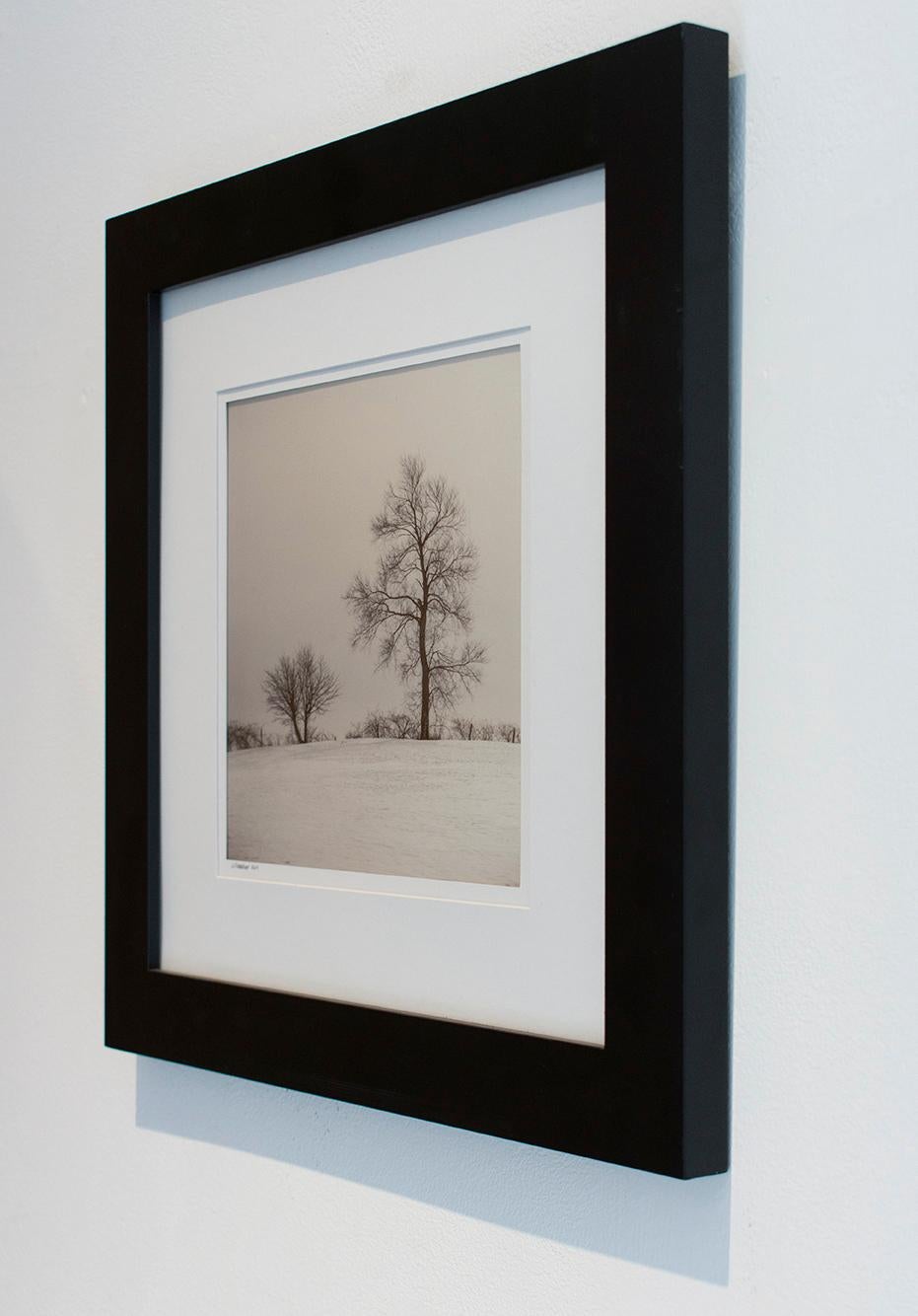 Champs agricoles, Winter (Photographie de paysage hivernal en noir et blanc, encadrée) 1