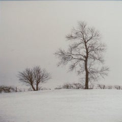 Champs agricoles, Winter (Photographie de paysage hivernal en noir et blanc, encadrée)