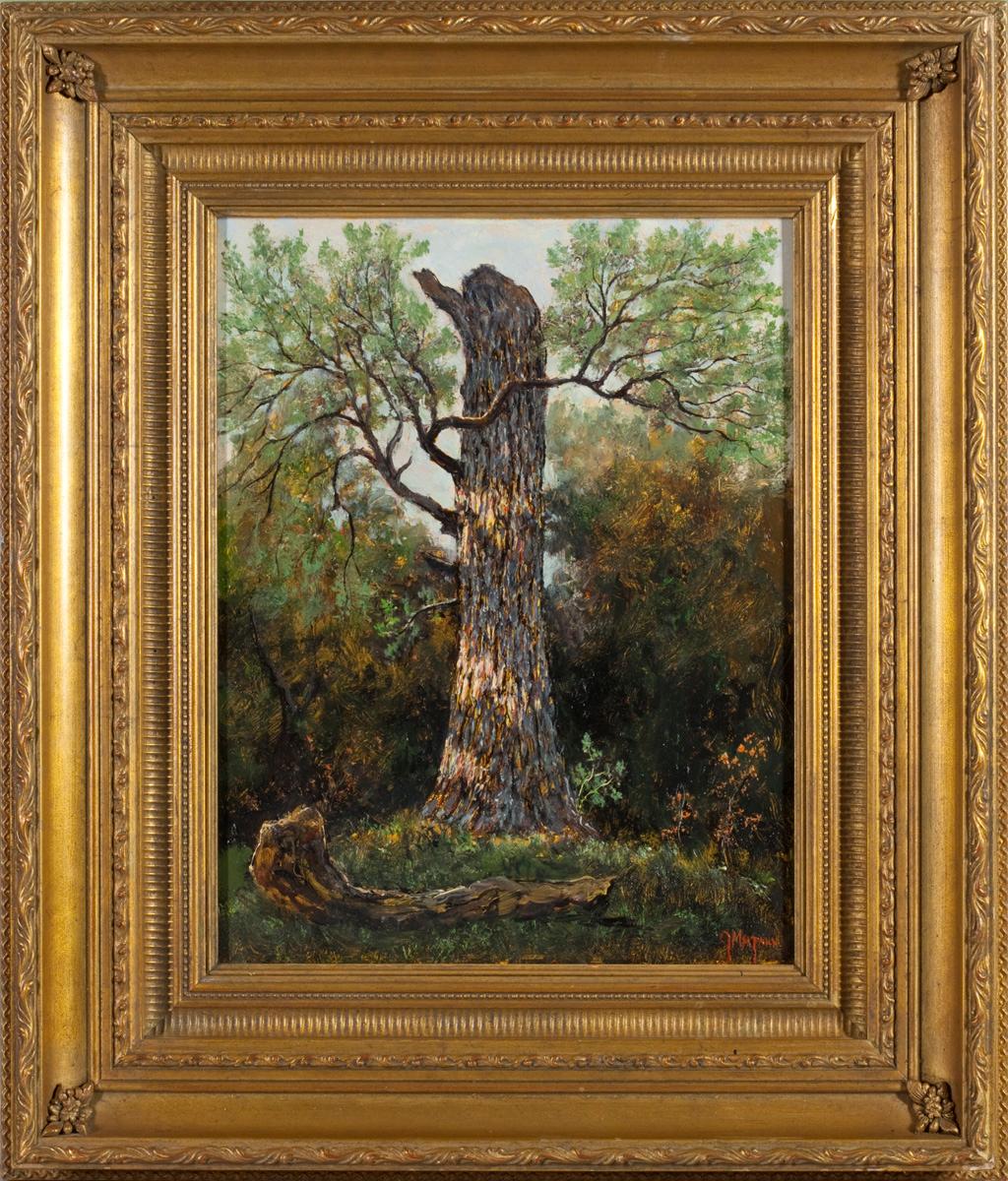 Chêne brossé, Fort Worth, Texas - Painting de Jerry Malzahn