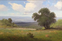 „Texas Hill Country“ Gemälde, Mohnblumen, Coreopsis  Texas Wildblumen