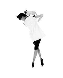 Jerry Schatzberg - Cha Cha Cha, gatto di Jean Patchett, 1958, stampa dopo