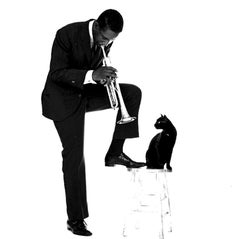 Jerry Schatzberg - Kenny Dorham, gatto jazz, fotografia 1960, stampato dopo