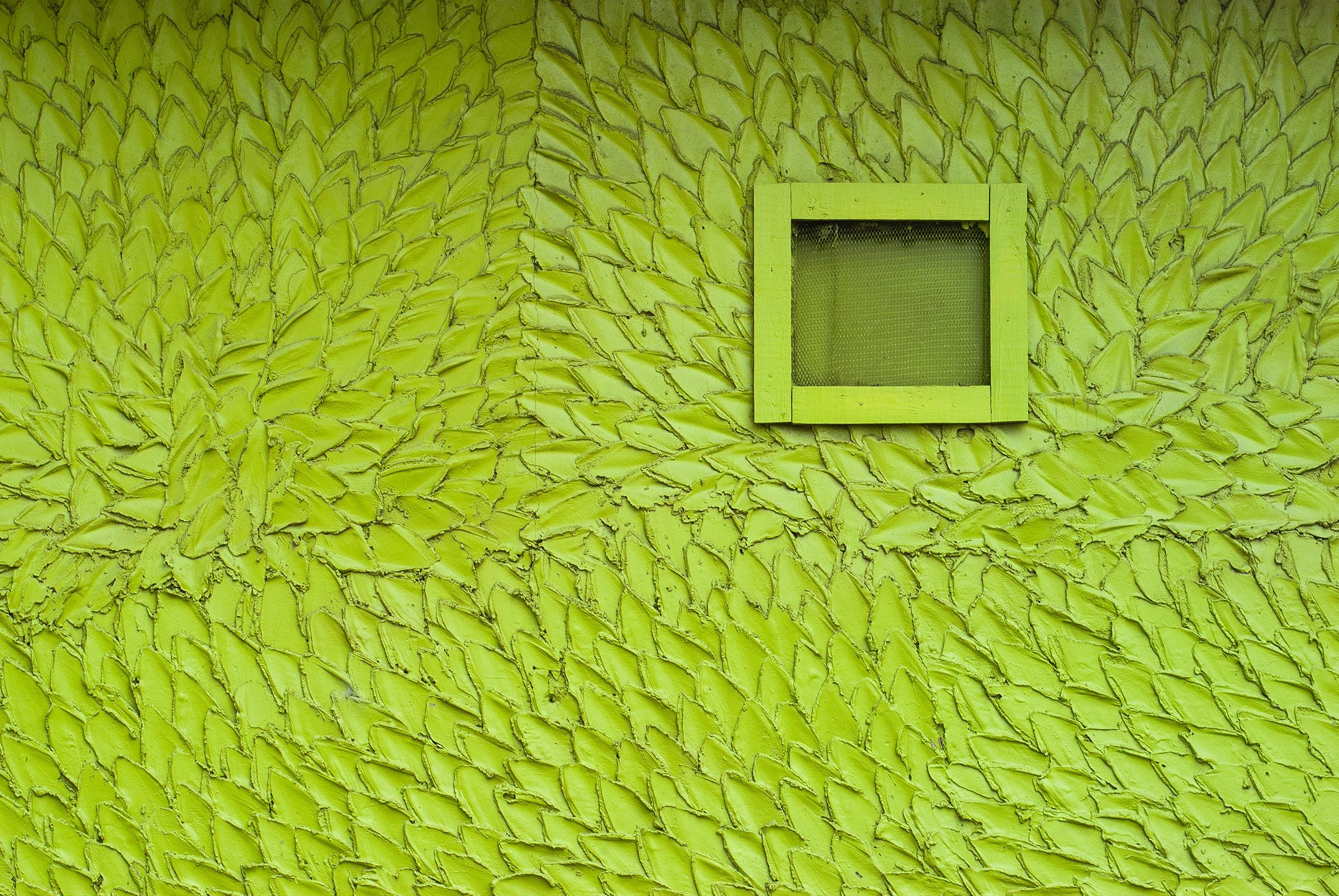 Jerry Siegel Color Photograph - "Green (Leaf Wall)" - Southern Documentary Photography - Christenberry