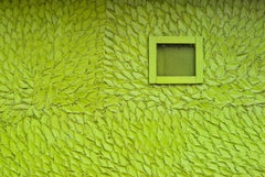 "Green (Leaf Wall)" - Southern Documentary Photography - Christenberry