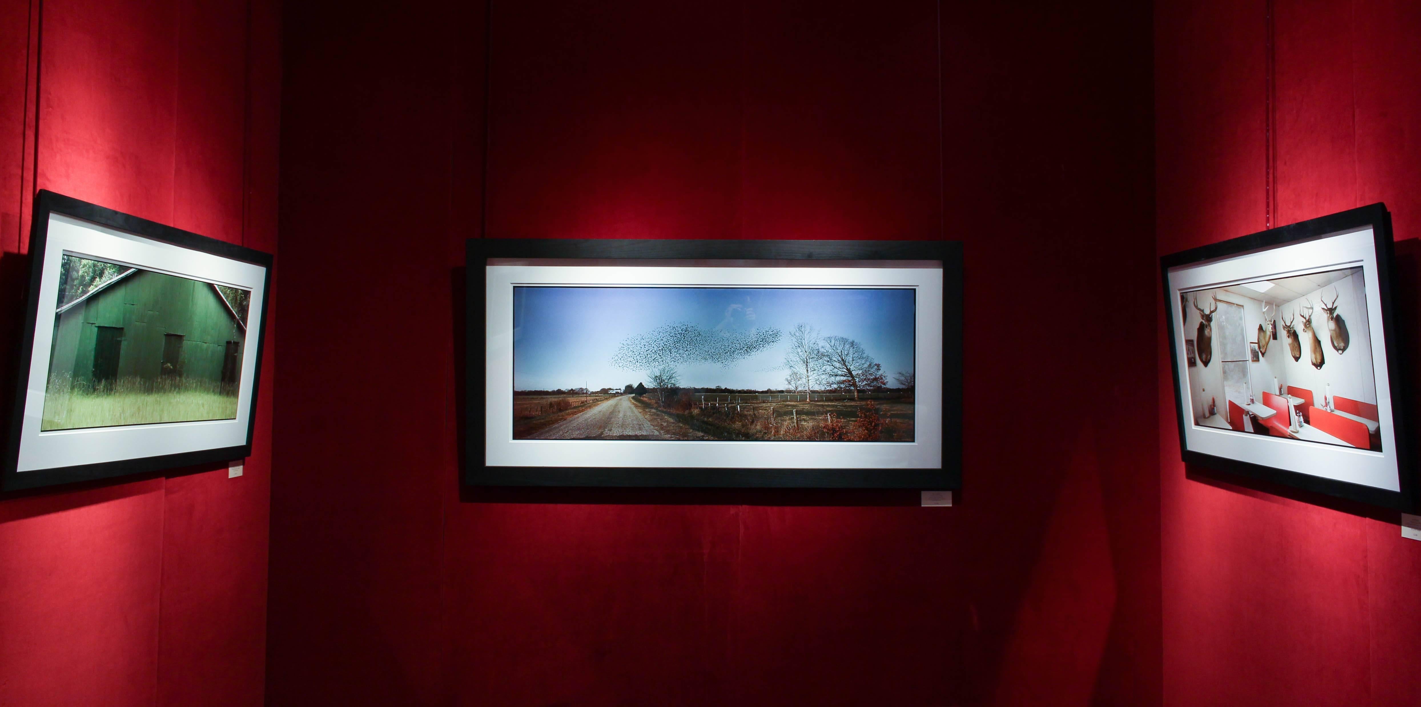 Cette photographie n'est pas encadrée.
Jerry Siegel s'inspire des travaux de William Christenberry, Sally Mann, Andrew Moore, Walker Evans et Jim Dow.

Le photographe Jerry Siegel est né et a grandi à Selma, en Alabama, et est diplômé de l'Art
