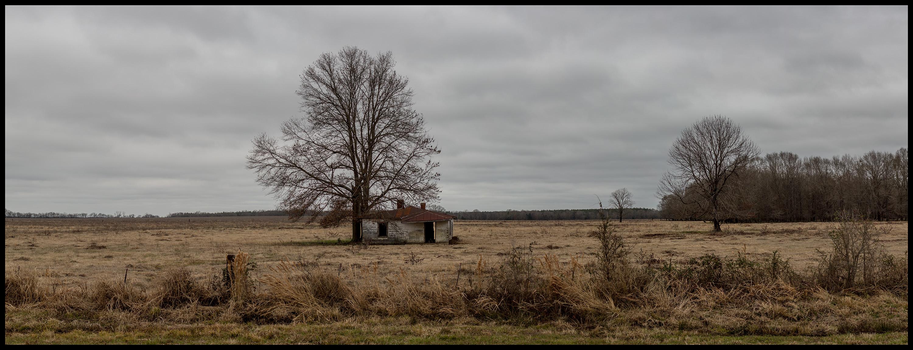 Jerry Siegel Landscape Photograph – „HWY 80, House & Tree, Dallas County, AL“ – Southern Photography – Christenberry