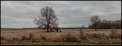 "HWY 80, House & Tree, Dallas County, AL" - Southern Photography - Christenberry