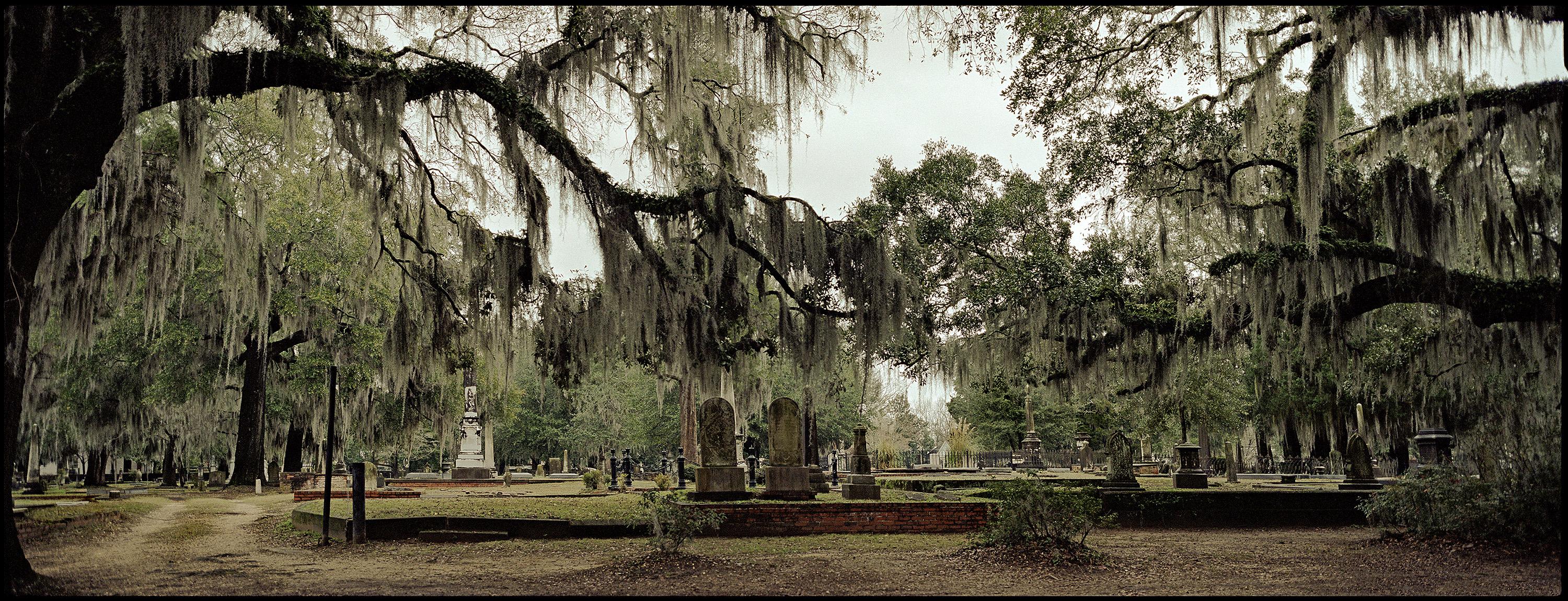 Jerry Siegel Landscape Photograph - "Old Live Oak Cemetery, Selma" - Southern Photography - Christenberry