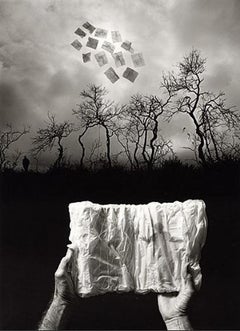 Jerry Uelsmann, Elusive Journey