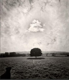 Jerry Uelsmann, Untitled