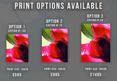 Flowers Fine Art Print