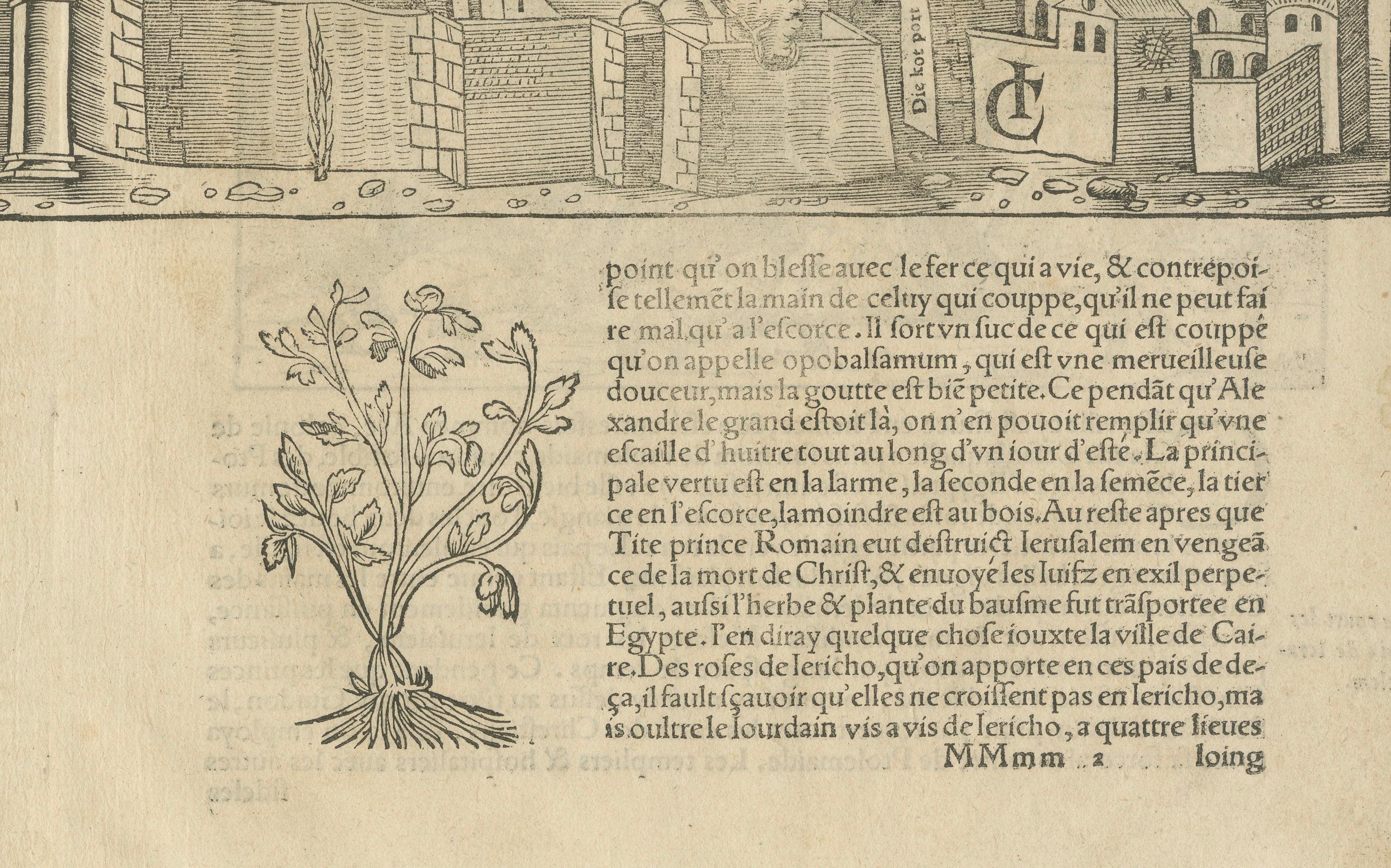 Jerusalem, Holy City View – Early Renaissance Woodcut, c.1560