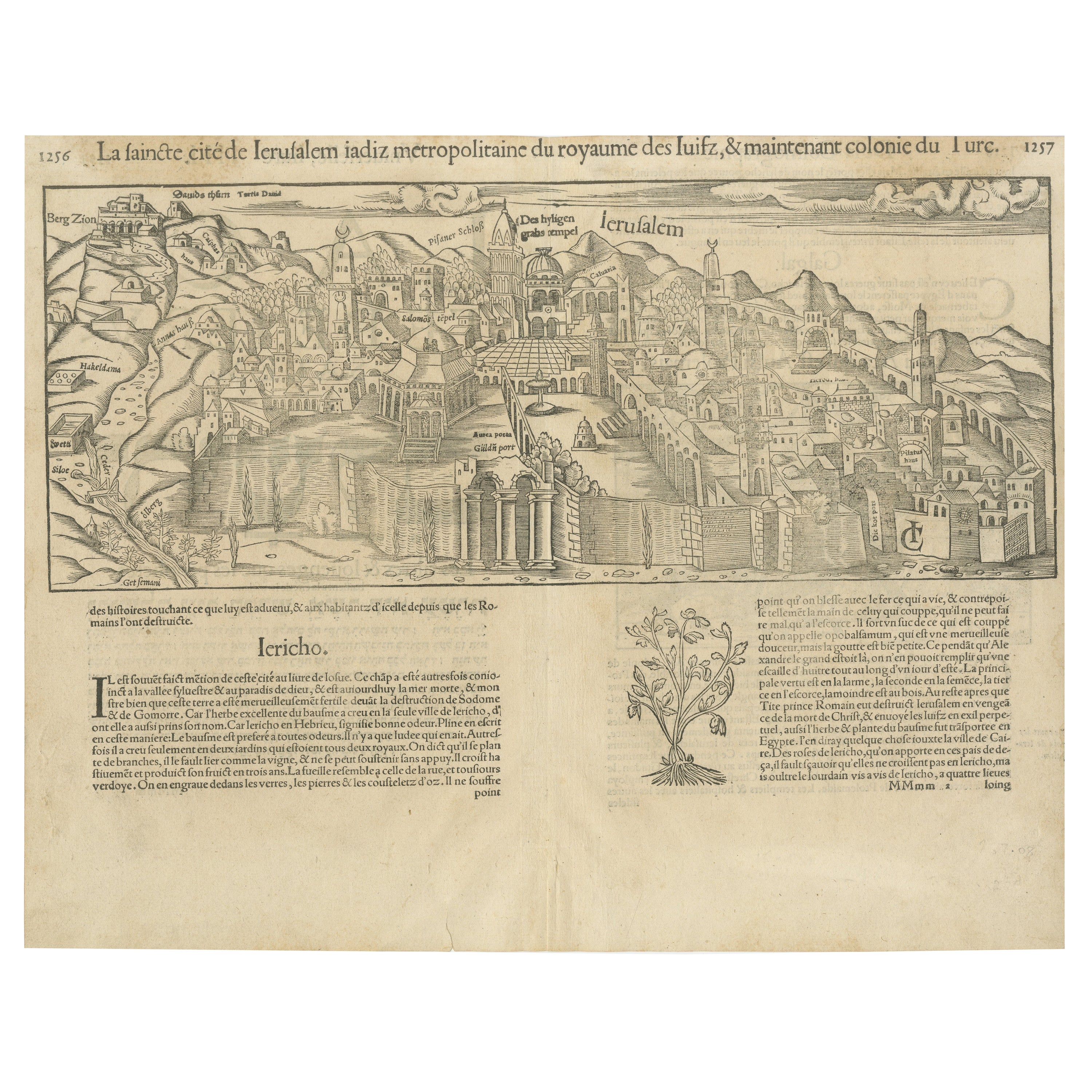 Jerusalem, Holy City View – Early Renaissance Woodcut, c.1560 For Sale