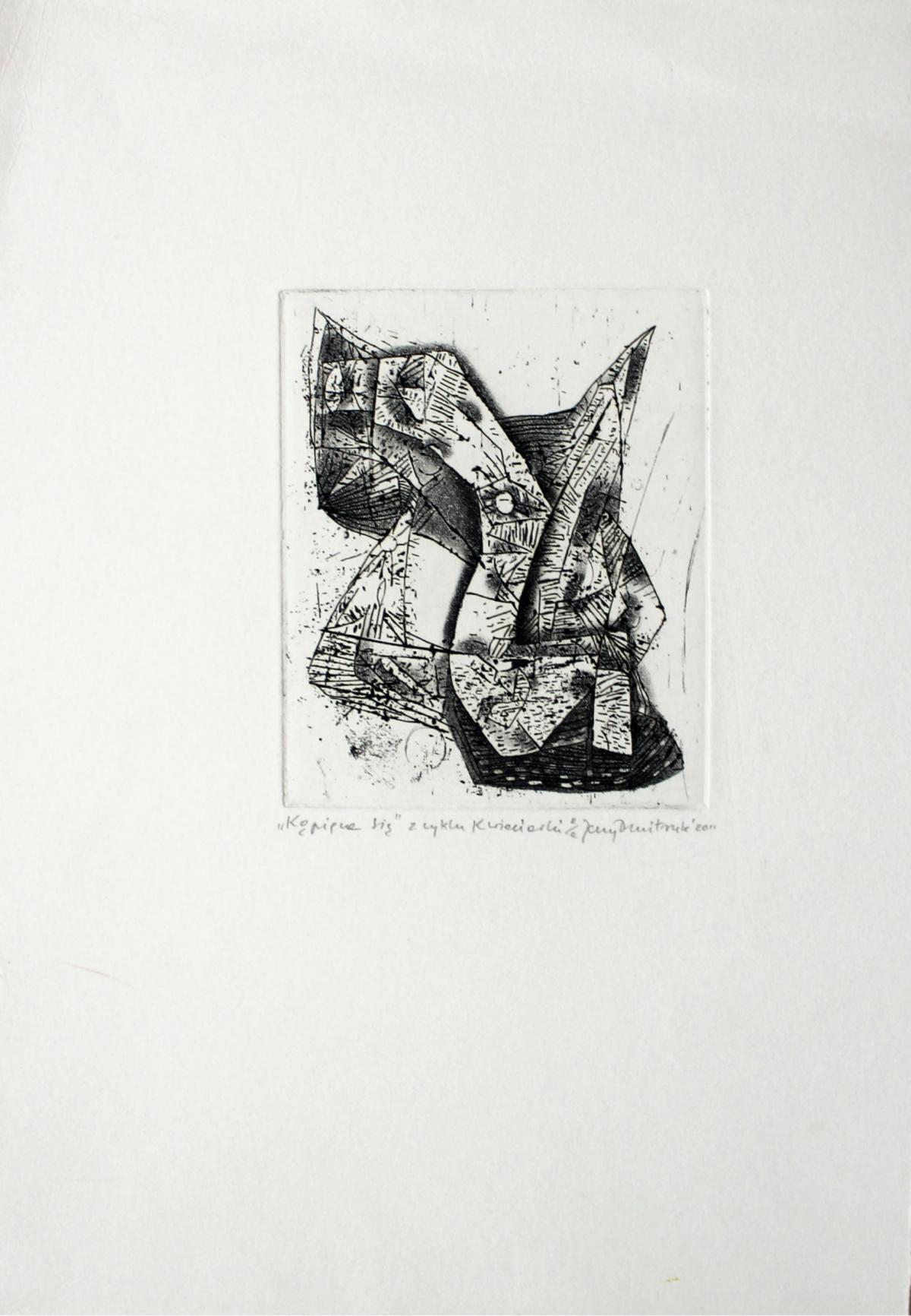 In a bath - 21st Century, Contemporary Abstract Etching, Black and White - Print by Jerzy Dmitruk