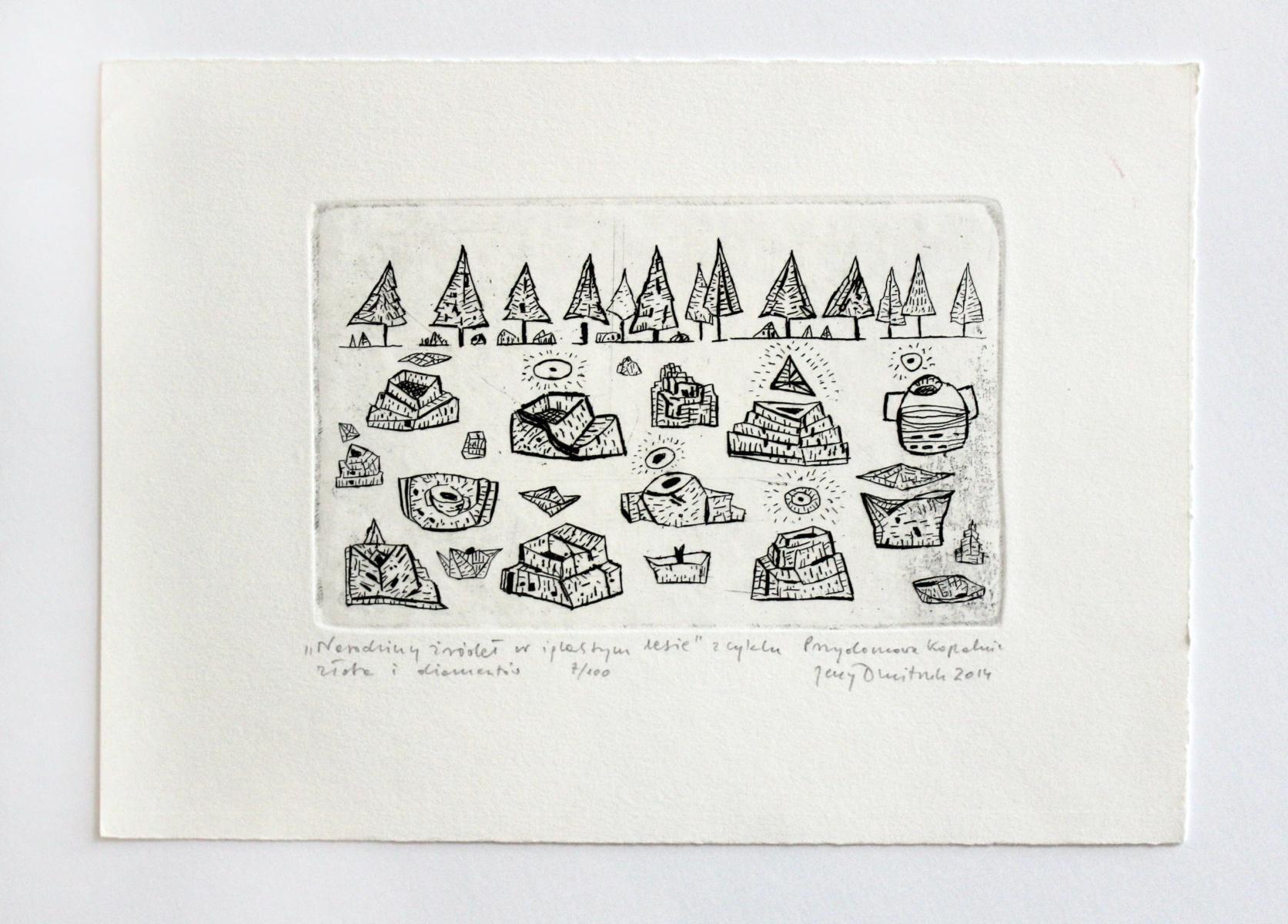 El nacimiento de las fuentes en un bosque de coníferas - Siglo XXI, Impresión en blanco y negro - Print de Jerzy Dmitruk