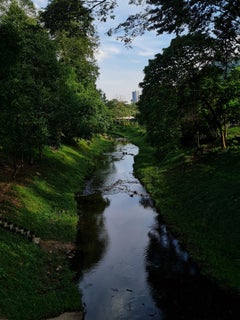 Malaysian Contemporary Photography by Jess Hon - A Scenic View of a Quiet Stream