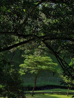 Malaysian Contemporary Photography by Jess Hon - Beautiful Morning Light