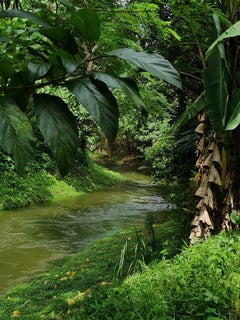 Malaysianische zeitgenössische Fotografie von Jess Hon – Beautiful Stream in Melawati