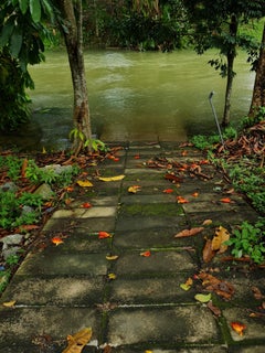 Zeitgenössische malaysische Fotografie von Jess Hon - Bunter Weg zum Bach