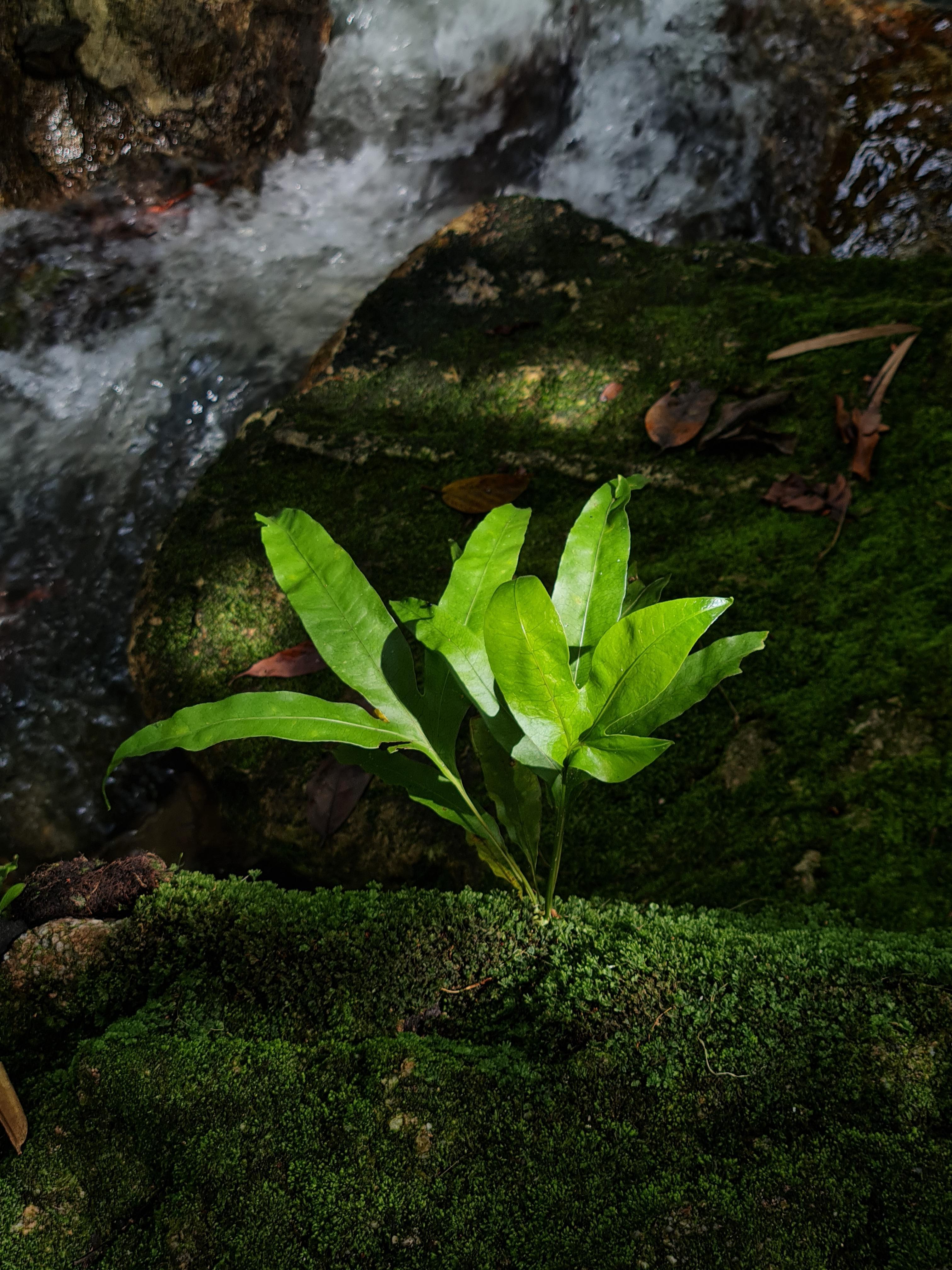 Malaysische zeitgenössische Fotografie von Jess Hon  Leben in einer turbulenten Umgebung