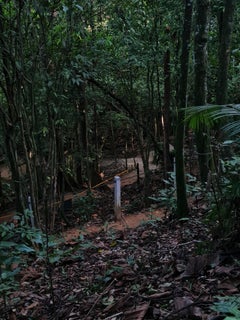 Zeitgenössische Malaysianische Fotografie von Jess Hon – Frieden und Gelassenheit im Dschungel