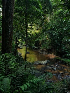 Photographie contemporaine de Jess Hon en Malaisie - Vue panoramique d'un ruisseau 