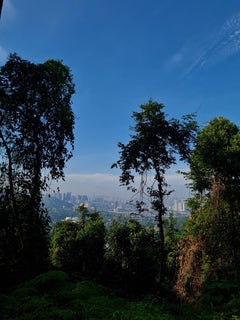 Zeitgenössische Malaysische Fotografie von Jess Hon – Stadtansicht aus dem Dschungel