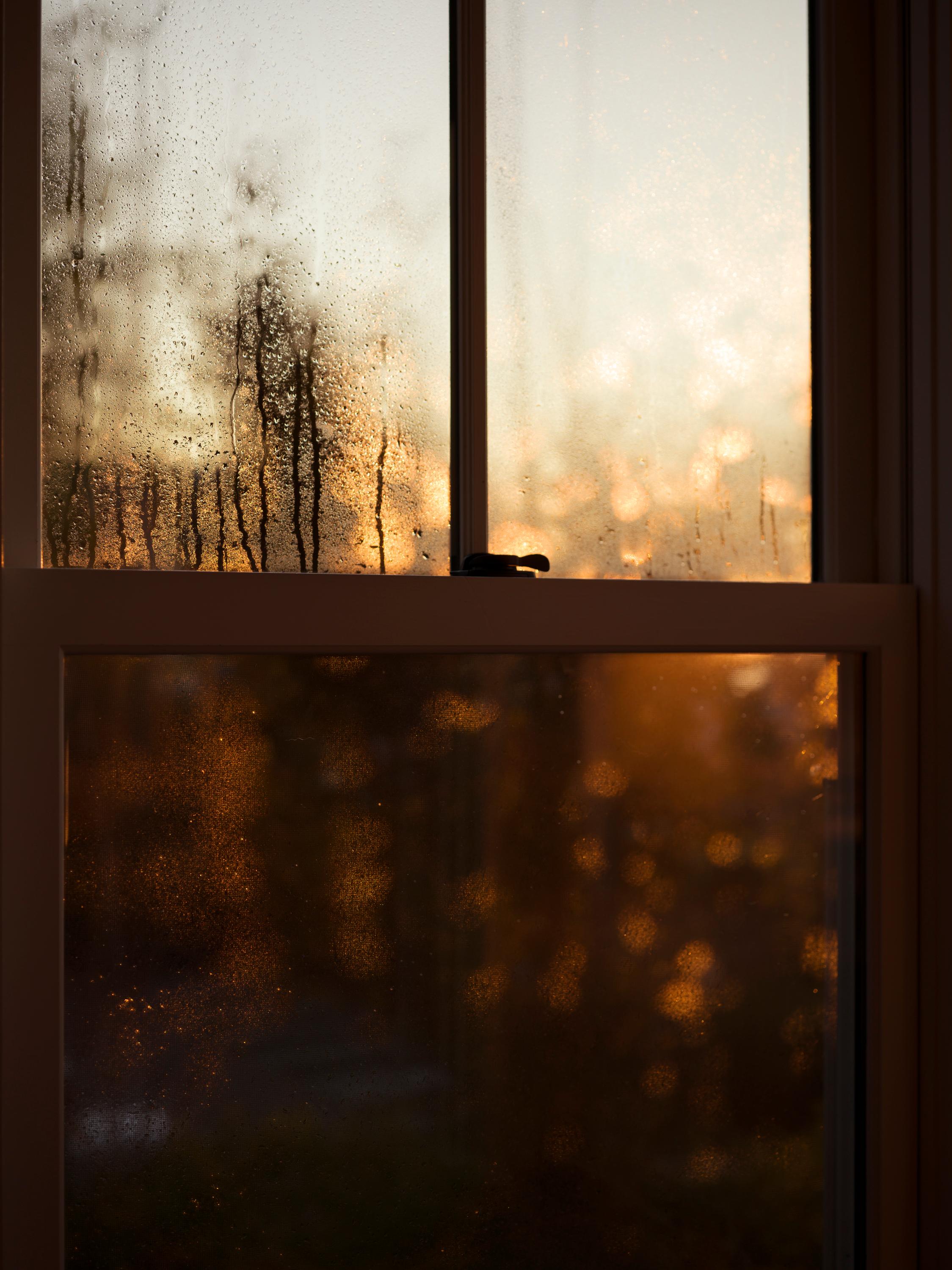 Window at sunrise - Photograph by Jess T. Dugan
