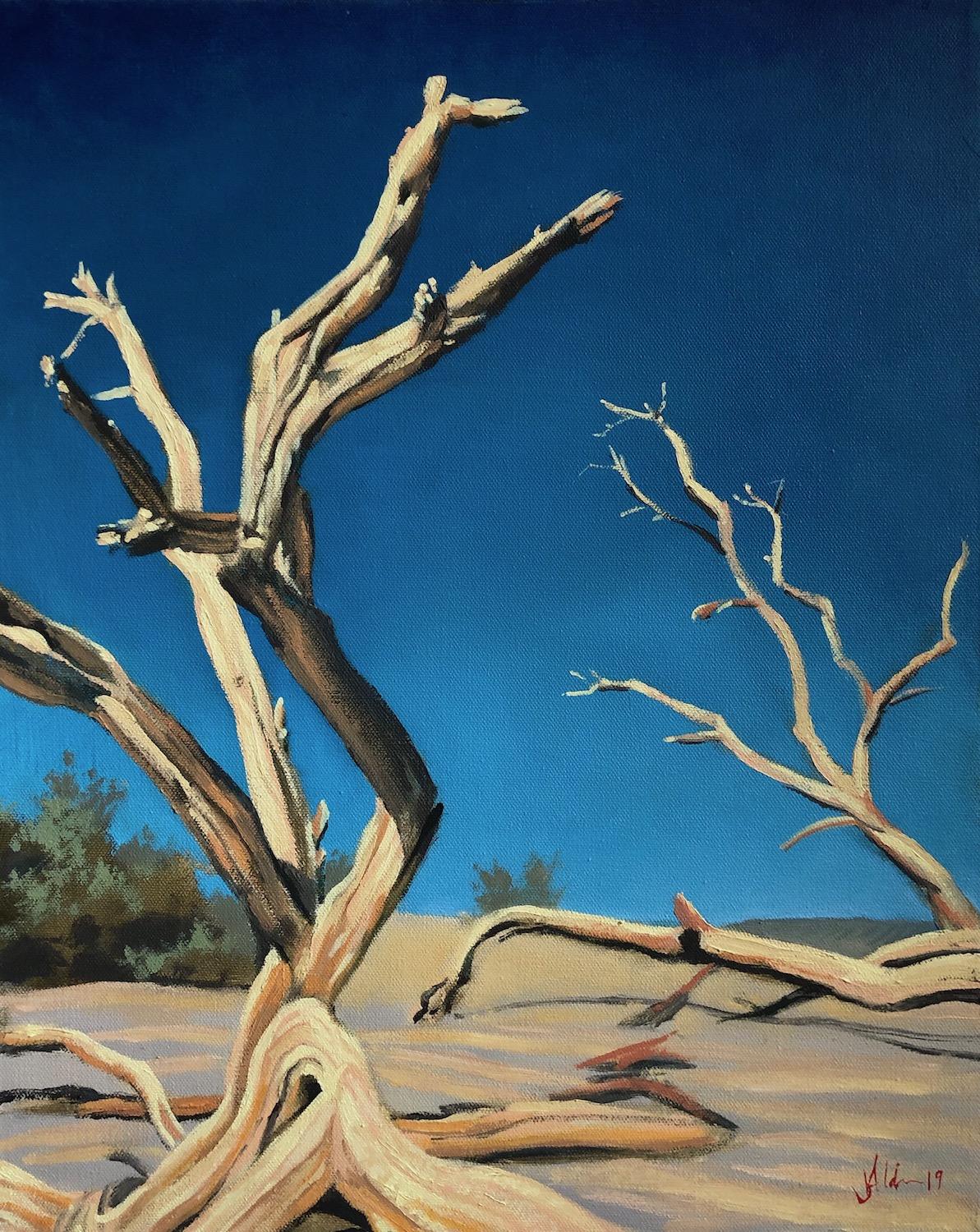Mesquite Flat, Oil Painting - Art by Jesse Aldana
