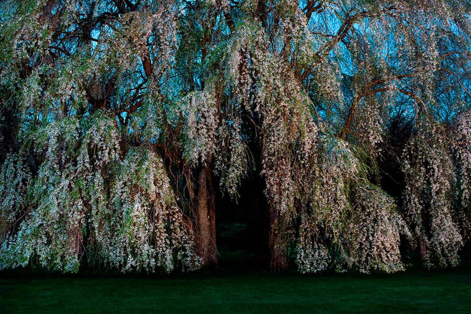 David Maisel Color Photography - 9 For Sale at 1stdibs