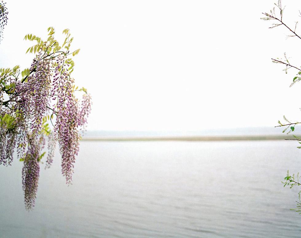 David Maisel Color Photography - 9 For Sale at 1stdibs