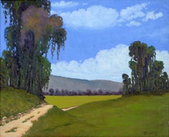 Wiesenweg durch Eukalyptushaine - Kalifornische Landschaft