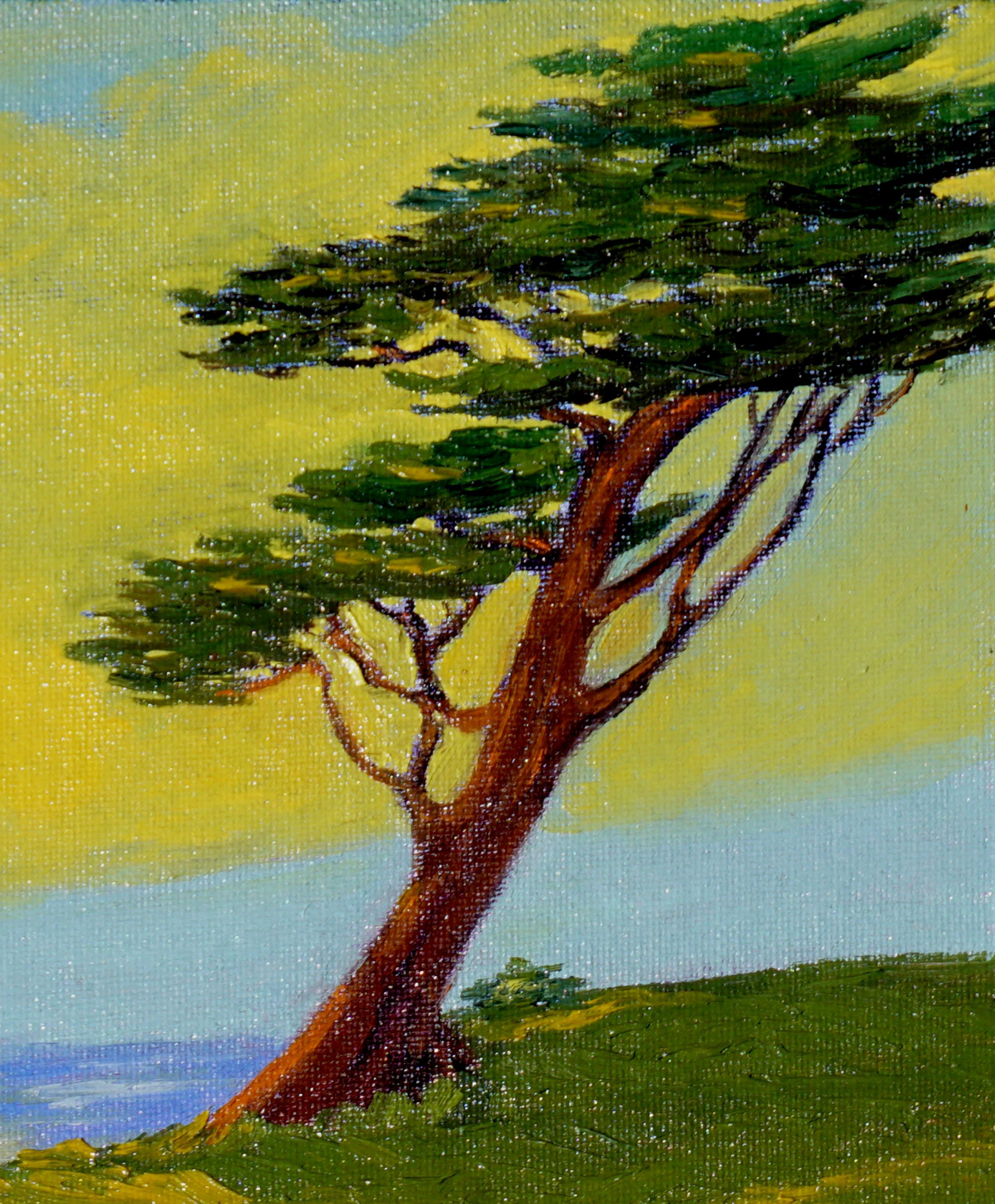 Sunset en cyprès de Monterey - Paysage côtier californien de Carmel - Painting de Jesse Don Rasberry 