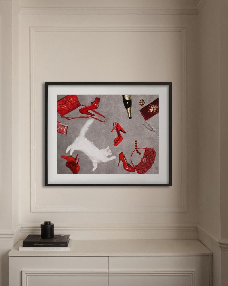 Accessori rossi di lusso sul pavimento e un gatto bianco di peluche fotografato da Jesse Frohman.

Tutte le stampe sono in edizione limitata. Disponibile in più misure. Cornici di alto livello su richiesta.

Tutte le stampe sono realizzate e firmate
