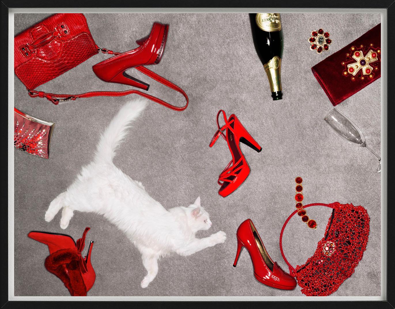 Accessori rossi - Articoli di lusso rossi e un gatto bianco, Fine Art Photography in vendita 1
