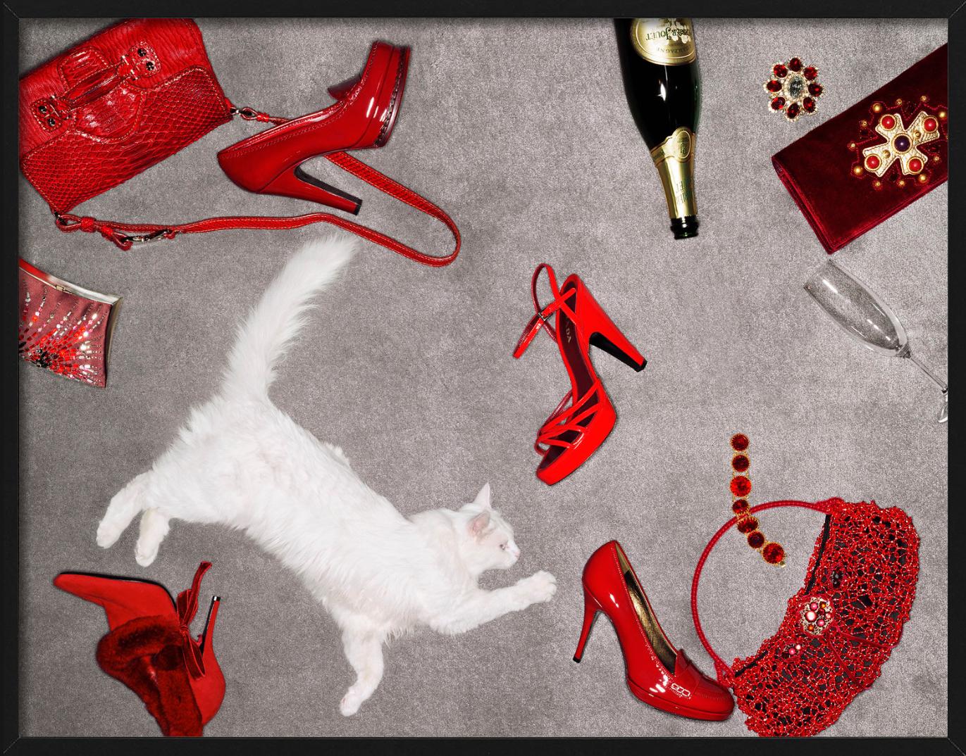 Accessori rossi - Articoli di lusso rossi e un gatto bianco, Fine Art Photography in vendita 2