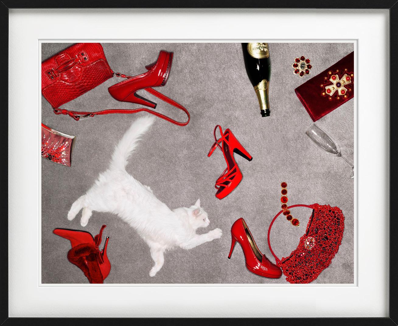 Accessori rossi - Articoli di lusso rossi e un gatto bianco, Fine Art Photography in vendita 3