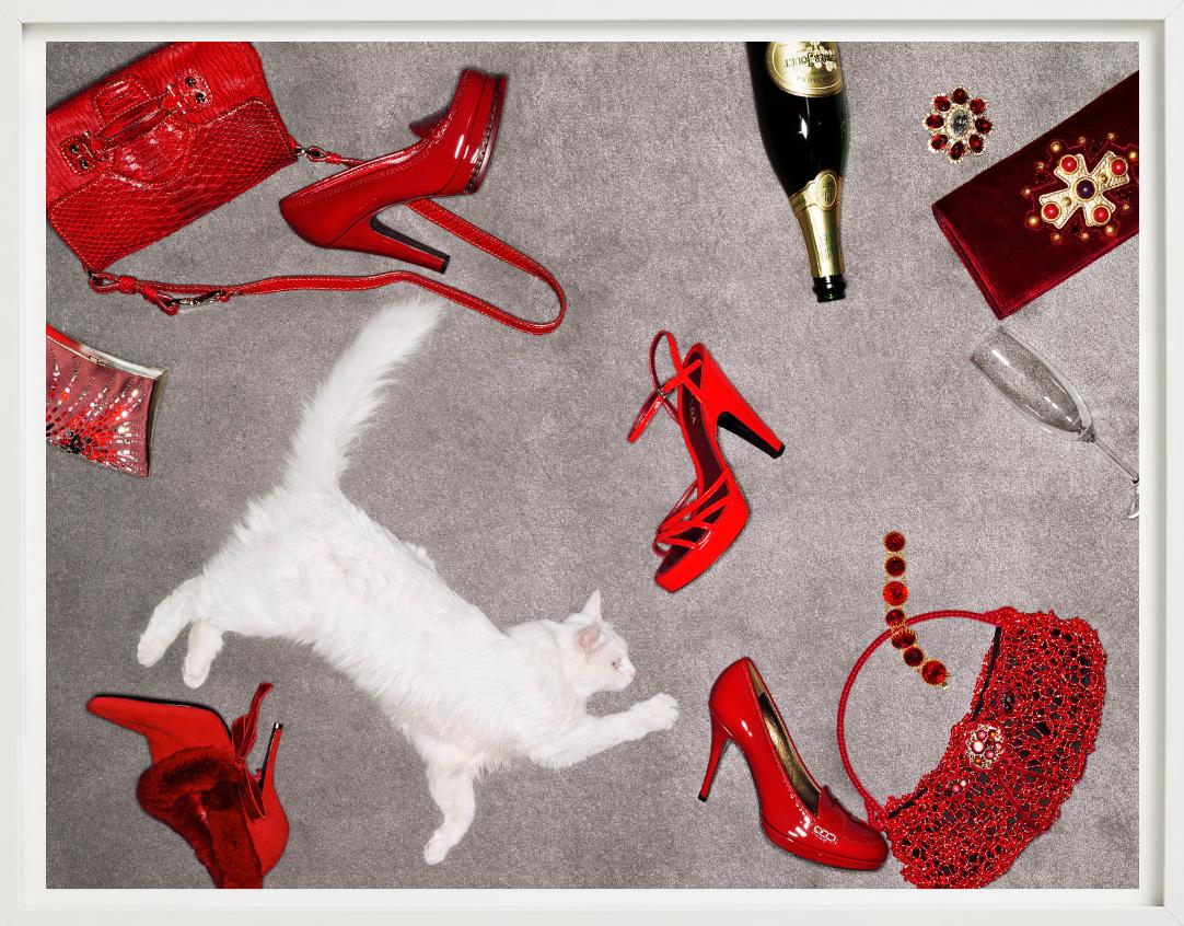 Accessori rossi - Articoli di lusso rossi e un gatto bianco, Fine Art Photography in vendita 4