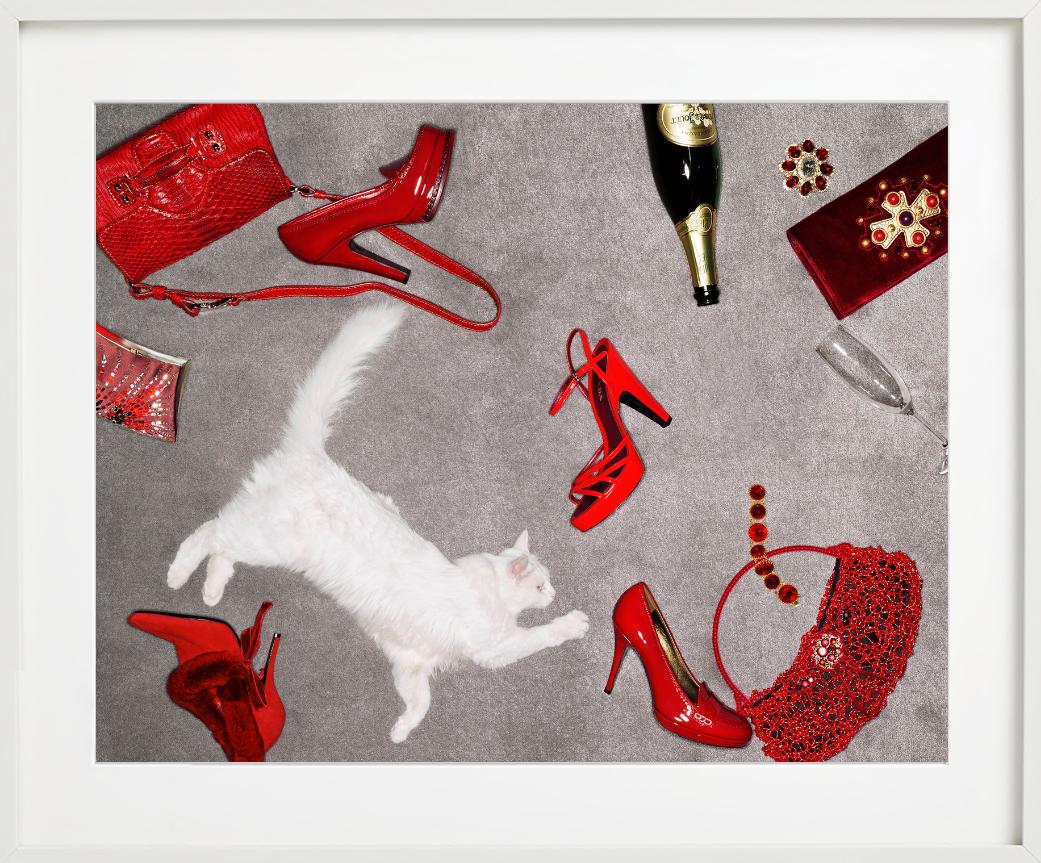Accessori rossi - Articoli di lusso rossi e un gatto bianco, Fine Art Photography in vendita 5